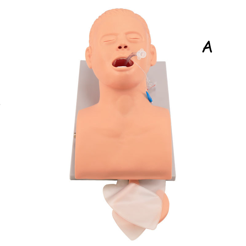 Medical Lab Management - PVC Adult Intubation Manikin Teaching Model,
