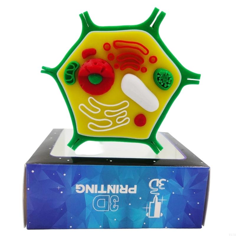 Professional Animal Plant Cell - огляд і ціна Medical Lab Study