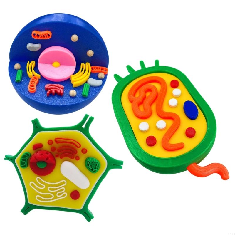 Professional Animal Plant Cell - огляд і ціна Medical Lab Study