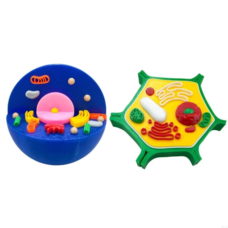 Professional Animal Plant Cell - огляд і ціна Medical Lab Study